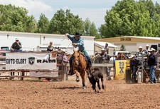 Laramie Wyoming 2015 Calf Roping Rodeo Jubilee Festival Cowgirl Horse picture
