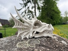 Dragon Skull 3d Printed  picture