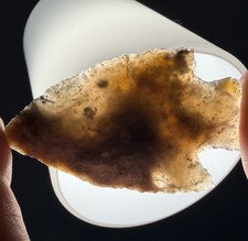 KILLER TRANSLUCENT CITRUS ARROWHEAD FLORIDA 2.76” ARTIFACT SPEAR ARROWHEAD picture