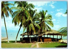 Haiti Postcard At the Calabashes Cottage and Beach c1950's Vintage Posted picture