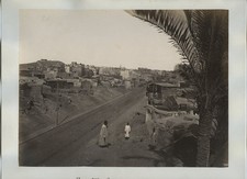 Rue Mahmoudieh Alexandria Egypt Street Scene Palm Tree c1870s VTG Photo picture