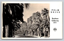Postcard RPPC California CA Desert Hot Springs Palm Drive Frasher's Foto B2552 picture