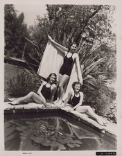 Hollywood CECILIA PARKER + SIMONE SIMON CHEESECAKE SWIMSUIT 1936 ORIG Photo 514 picture
