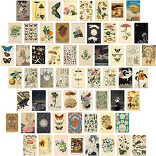 60 PCS Vintage Collection Postcard Set Retro Style Botanical Butterfly Mushroom picture