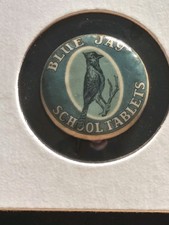 Rare Antique Early Pinback Button BLUE JAY SCHOOL TABLETS Blue Jay Bird  picture