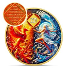 IELCJJ Phoenix Fairy 24 Year Na Medallions - Sun And Moon Sobriety Coin - 24 picture