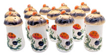 Vintage~1970s~Merry Mushroom~Salt and Pepper/Spice Shakers~Set of 12~Sears picture