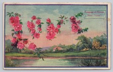 Vintage 1909 Woman's World Postcard Language of Flowers Rose Love picture