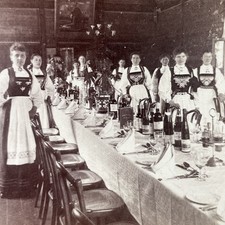 Stalheim Hotel Waitresses Stereoview Underwood & Underwood 1894 Norway picture