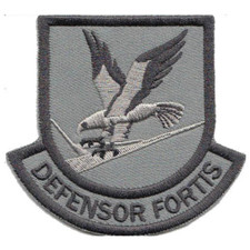 Large Custom Security Forces Defensor Fortis Grey Multicam Patch picture
