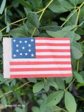 Old antique 13 Star Medallion US Parade Folk Art  Early Flag Centennial 1876  picture