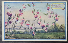 1909 Color Postcard Woman's World Language of Flowers Sweet Pea Wish You Joy picture