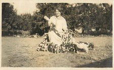RPPC Postcard Woman Feeding Spotted Pigs Gloucestershire Old Spots Piglets picture