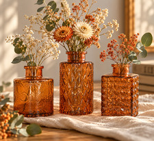 Cassie & Co. New Set of 3 Glass Bud Vases Vintage Style Floral Cottage Decor picture