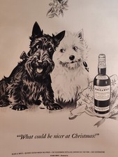 1951 Esquire Ad Advertisement Black and White Scotch Whisky Dogs Terriers picture