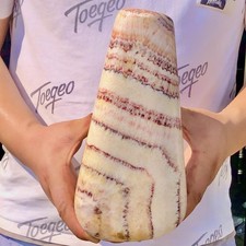 7.65LB Large beautiful Natural Red striped Pork Stone Landscape mineral specimen picture