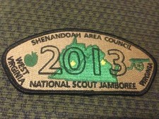 Mint 2013 JSP Shenandoah Area Council picture