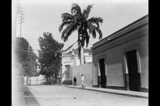 Puerto Cabello Venezuela 1890s Private Residence Street Houses Palm Trees picture