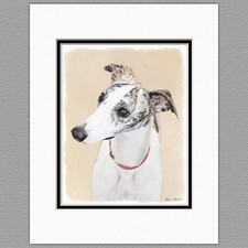Whippet Dog Original Art Print 8x10 Matted to 11x14 picture