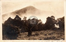 Mount Pisgah National Forest Mountain North Carolina P724 RPPC Postcard COPY picture