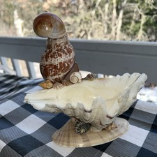 Parrot  Trinket Tray Real Sea Shells Figurine Hand Made 7”x7.5” picture