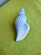 Herend Tulip Shell Figurine in Fishnet Blue (15535 VHB) with iridescent accents picture