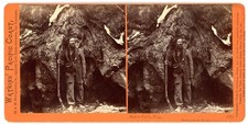 YOSEMITE STEREOVIEW - Galen Clark Esquire at Mariposa Grove - CE Watkins 1870s picture