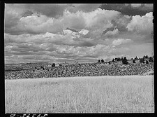King Ranch,Laramie,Albany County,Wyoming,WY,Farm Security Administration,FSA,7 picture