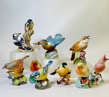 10 Vintage Royal Worcester Fine Bone China English Garden Bird Figurines VGC picture
