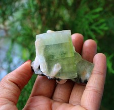 GREEN APOPHYLLITE CRYSTALS MINERALS SPECIMEN picture