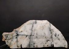 Rare Einstein Mine Silver Ore Slab - Silvermines MO - Argentiferous Galena &... picture