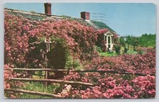 Chatham Massachusetts MA Famous Rose Cottage Posted 1961 Postcard picture