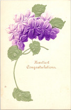 Vintage Embossed Floral Postcard Heartiest Congratulations Made in Germany 1907 picture