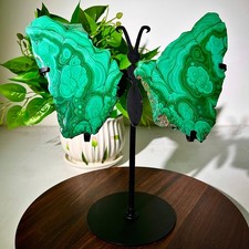 2.73lb Natural malachite Butterfly Wings Crystal Healing Reiki Art+shelf picture