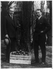 San Bernardino California Calvin Coolidge Phil D Swing 1923 Sunkist Oranges picture