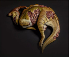 Nanmu Studio 1：35 Parasaurolophus Corpse Jurassic Dinosaur Figure Animal Model picture