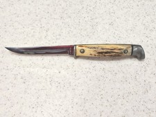 Vintage Case Fixed Blade Stag Small Bird Trout Knife  picture