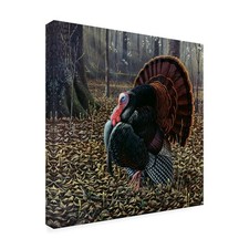 The King Of Spring Wild Turkey by Wilhelm Goebel, 24x24-Inch 24