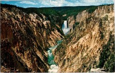 Yellowstone Canyon from Artist Point Vintage Postcard by Sturm Studio picture