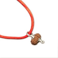 18 Mukhi Indonesian Java Rudraksha Medium 16mm-18mm Silver Pendant IGL Certified picture