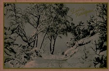 Vintage Dutch Christmas Postcard Zalig Kerstfeest Winter Snow Scene picture