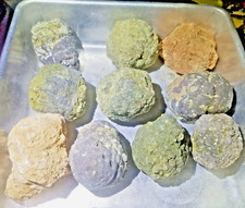 3lb Lot 10 Oregon Thundereggs • Ochocos Rough Lapidary Jasper Moss Agate Geode picture