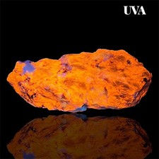 81 Gram Top Fluorescent Bi-Color Sodalite Crystal From Badakhshan, Afghanistan picture