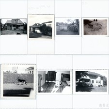 x7 LOT c1940s Santa Monica, CA Houses German Shepherd Dog Snapshot Photos Yard picture