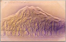 c1910s TACOMA, Washington Embossed Postcard 