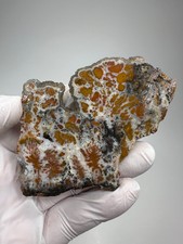 RARE Wingate Pass Plume Agate End-Cut Slab (a.k.a. Death Valley Plume) picture