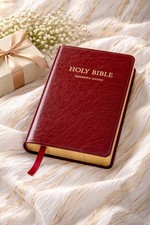 NEW 1988 Holy Bible Reference Edition Thomas Nelson Red Leather Gilt Pages 595BG picture