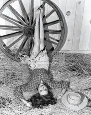 ACTRESS ARLEEN WHELAN PIN UP - 8X10 PUBLICITY PHOTO (AB-408) picture