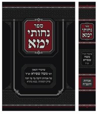 נחותי ימא שיעורי רבי משה שפירא על אגדות רבה בר בר חנה Rabbi Moshe Shapiro picture