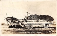 J7/ Lincoln Nebraska RPPC Postcard c40s Exaggeration Grasshopper Wagon80 picture